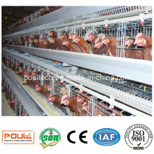 Egg Layer Battery Cages Automatic Equipment